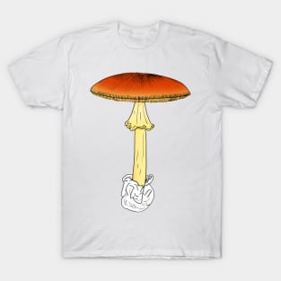 Amanita caesarea T-Shirt